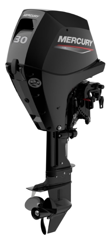 Mercury F 30 EFI